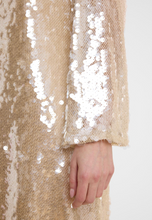 Lataa kuva Galleria-katseluun, Paljettimekko